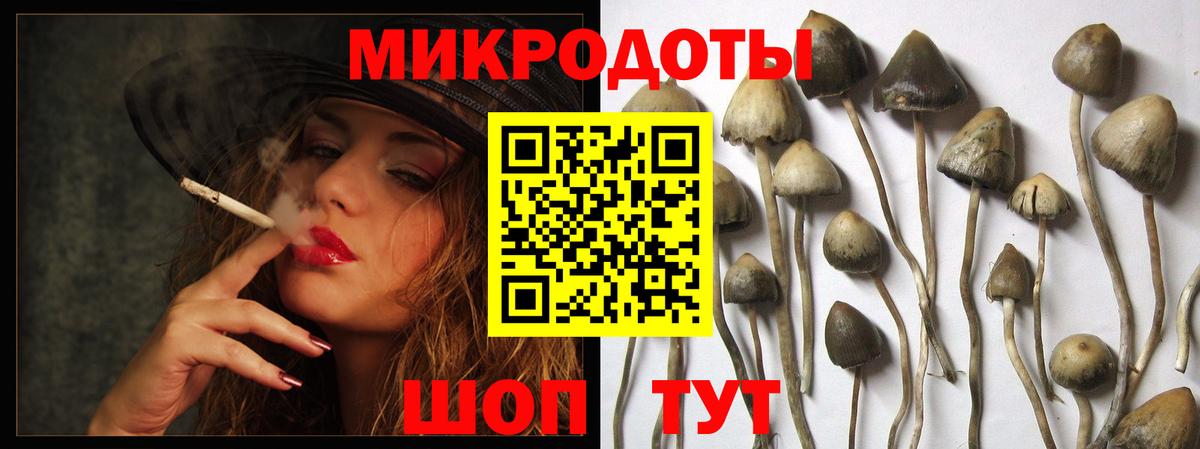Дятьково  Галлюциногенные грибы Cubensis  Вход с VPN  Псилоцибиновые грибы Magic Shrooms 